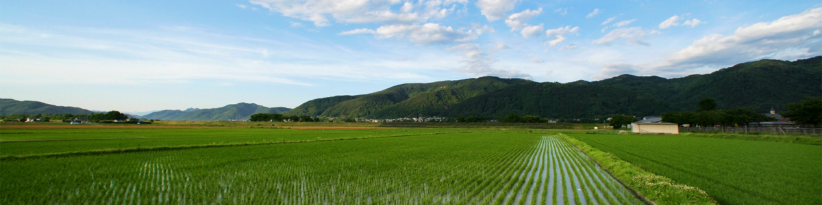 (C)安曇野観光協会「豊科 南穂高田園」