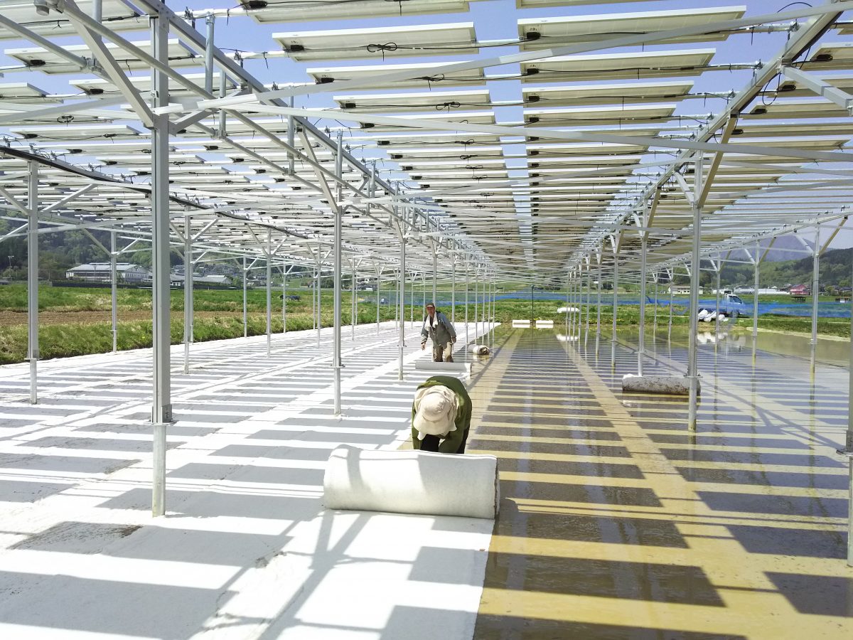 【9月25日：佐久】「ソーラーシェアリング（営農型太陽光発電）」説明会を開催