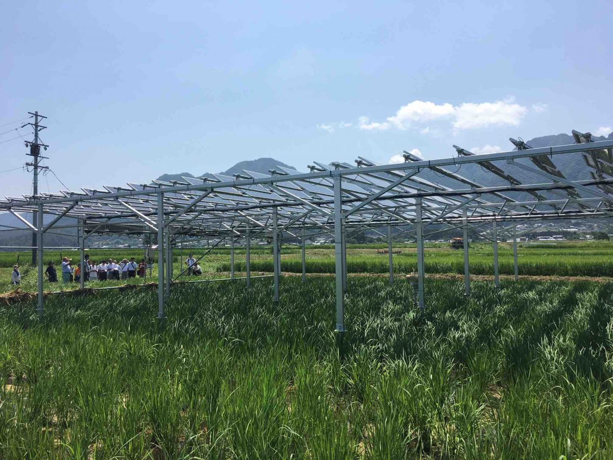 【9月19日：松本】農地を活かしながら営農型太陽光発電 ソーラーシェアリング　実例を聞く　説明会